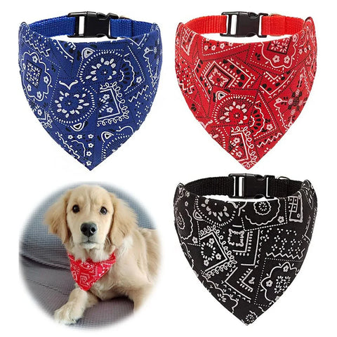 Bandana perro