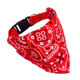 Bandana perro